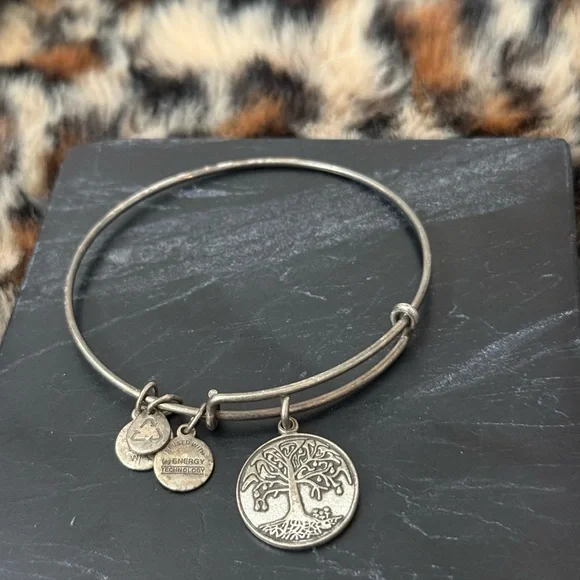 Alex & Ani Charm Bracelets Lot of 8 - 2012 2013 2015 - Picture 9 of 16